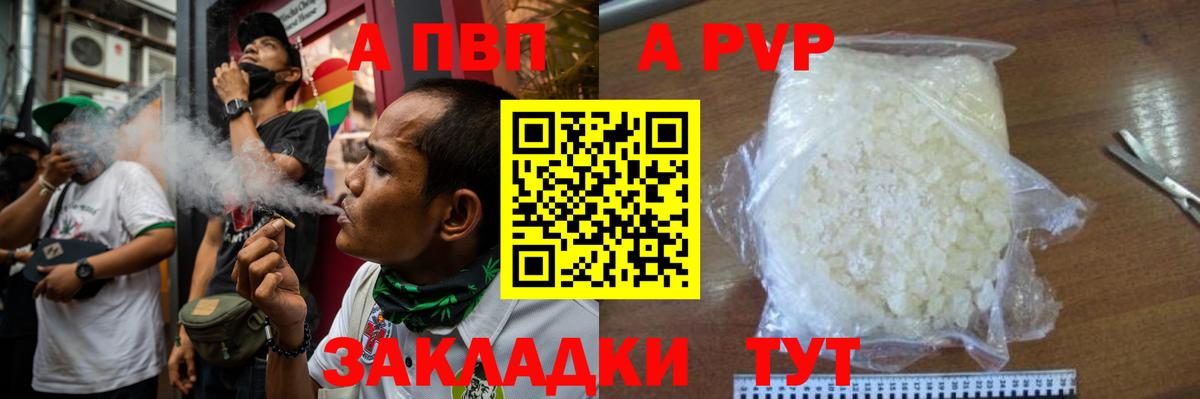 A-PVP СК КРИС Архангельск