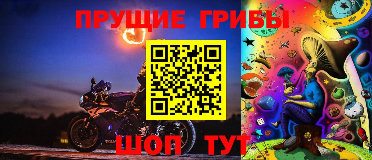 Галлюциногенные грибы Cubensis Архангельск